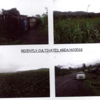 44. PRIME AGRICULTURAL PROPERTY IN IKWEMBEI VILLAGE, NANDI COUNTY. -PC
