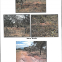306. PRIME RESIDENTIAL CUM AGRICULTURAL PROPERTY IN NAMANGA ROAD IN KAJIADO COUNTY. -KC