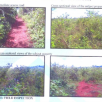 529. PRIME AGRICULTURAL PROPERTY IN NYABEDA AREA IN GEM, SIAYA COUNTY. -KC