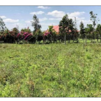 533. PRIME RESIDENTIAL PROPERTY IN ENKASITI ESTATE IN KITENGELA, KAJIADO COUNTY. -(T)BA
