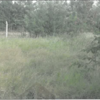 327. PRIME RESIDENTIAL PROPERTIES IN PLAIN VIEW AREA, JOSKA TOWN IN MACHAKOS COUNTY. -KC