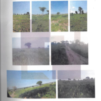 197. PRIME RESIDENTIAL PROPERTY IN KADZODZO AREA, KILIFI COUNTY.-KC