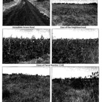 113. PRIME AGRICULTURAL PROPERTIES IN NDURURUMO AREA IN KIAMBU COUNTY. -LK