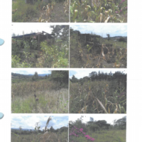 304. PRIME AGRICULTURAL PROPERTY IN OLOOSURUTIA AREA KAJIADO COUNTY. -KC
