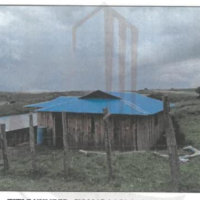 520. PRIME AGRICULTURAL PROPERTY IN PARKARARA AREA IN OLCHORO, NAROK COUNTY. -KC
