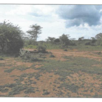 537. PRIME AGRICULTURAL PROPERTY IN OLOLTOTO AREA IN NAROK COUNTY. -KC