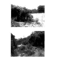 145. PRIME RESIDENTIAL PROPERTY IN BAMBURI, MOMBASA COUNTY. -LK