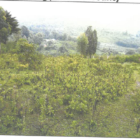 176. PRIME AGRICULTURAL PROPERTY IN NYAWITA AREA, KARATENG IN KISUMU COUNTY. -KC