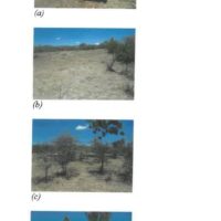 147. PRIME AGRICULTURAL PROPERTY IN MATUNGULU SUB COUNTY, MACHAKOS COUNTY. -KC
