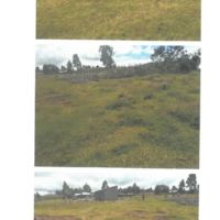 322. PRIME RESIDENTIAL PROPERTY IN ELDORET MUNICIPALITY, UASIN GISHU COUNTY. -KC