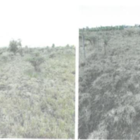 386. PRIME RESIDENTIAL PROPERTY IN KITENGELA, KAJIADO COUNTY. -KC