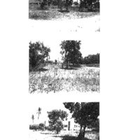 144. PRIME RESIDENTIAL PROPERTY IN MAJENGO KANAMAI AREA, KILIFI COUNTY. -LK