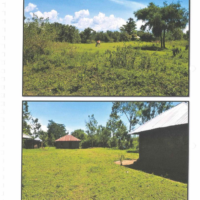 143. PRIME AGRICULTURAL CUM RESIDENTIAL  PROPERTY IN AGWANO AREA, HOMABAY COUNTY ON 13/04/2022. -SB