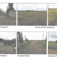 320. PRIME RESIDENTIAL PROPERTY IN OSTRICH VIEW PARK PHASE II, KAJIADO COUNTY. KC
