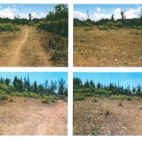 164. PRIME RESIDENTIAL PROPERTY IN MTWAPA, KILIFI COUNTY. -EQ