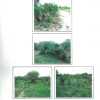 284. PRIME AGRICULTURAL PROPERTY IN LAMU COUNTY. -KC