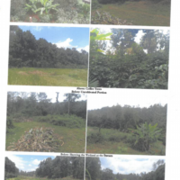 288. PRIME AGRICULTURAL PROPERTY IN MATHARE-INI VILLAGE IN KIGUMO SUB-COUNTY, MURANGA COUNTY. -KC