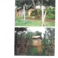 446. PRIME AGRICULTURAL CUM RESIDENTIAL PROPERTY IN BURETI SUB-COUNTY, KERICHO COUNTY. -KC