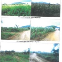 53.PRIME AGRICULTURAL PROPERTY IN BUSIA COUNTY. -KC