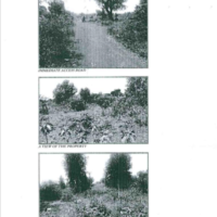 416. PRIME RESIDENTIAL PROPERTY IN BARKOWINO AREA, SIAYA COUNTY. -KB