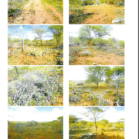 516. PRIME RESIDENTIAL PROPERTY IN NKOILE GROUP RANCH, PURKO AREA IN KAJIADO COUNTY. -KB