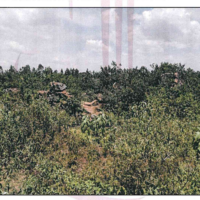 18. PRIME RESIDENTIAL PROPERTY IN OJOLA AREA KISUMU COUNTY. -KW