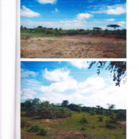 323. PRIME AGRICULTURAL PROPERTY IN EWAUSO NGIRO AREA IN NAROK COUNTY. -KC