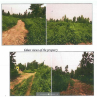 111. PRIME RESIDENTIAL PROPERTY IN OBWOLO AREA IN KAJULU, KISUMU COUNTY. -HF