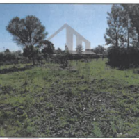 330.  PRIME AGRICULTURAL CUM RESIDENTIAL PROPERTY IN SANGO SHOPPING CENTRE IN KAKAMEGA COUNTY. -KC