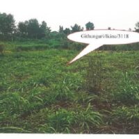 252. PRIME AGRICULTURAL PROPERTY IN NGEMWA AREA, KIAMBU COUNTY –KC