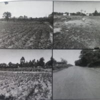 87. PRIME AGRICULTURAL IN KHAOYA AREA, BUNGOMA COUNTY. -KI